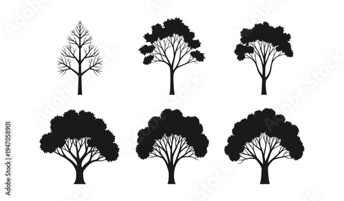 A collection of six black and white tree icons representing various stages of seasonal growth