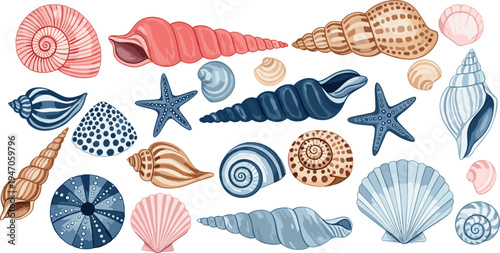 Beautiful collection of sea shells, starfish, and urchins in pink and blue colors, ocean life vector illustration set isolated on white, summer.