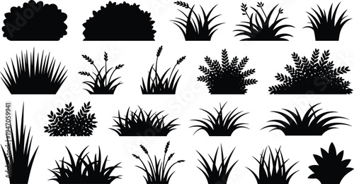 Grass and bush silhouettes vector collection, botanical foliage plants set, black garden nature landscape elements isolated, flat vector illustration
