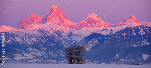 Photography Teton Mountain Range Idaho Side Sunset Alpen Glow in Winter Blue Sky and Forest
