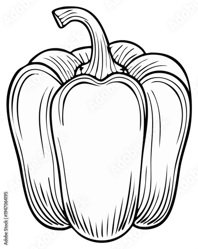 Outlined pepper illustration. Fresh vegetable sketch design.