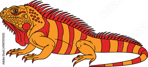 Orange iguana vector illustration, tropical lizard with red stripes and spikes, exotic reptile design, wild animal art, isolated on white background, nature.