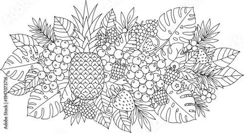 Free printable fruits coloring page vector illustration for adults and kids