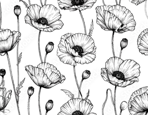 Black and white floral line art pattern showcasing delicate poppy blooms and buds on a white background