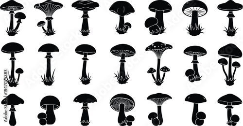 Mushroom silhouette collection vector set, wild forest fungi black icons, different toadstool shapes botanical illustration isolated on white background