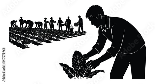 A group of farmers tending to a leafy green crop in a field depicted as a striking silhouette