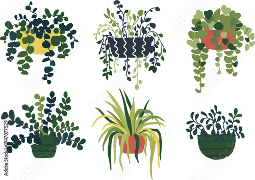 Vector illustration set of hanging and potted houseplants with trailing foliage indoor botanical collection for home decor greenery isolated on light background