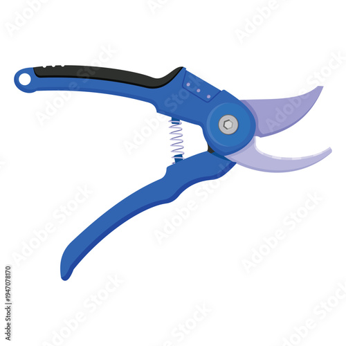 Blue Jagged Scissors for garden fruit isolated on a white background