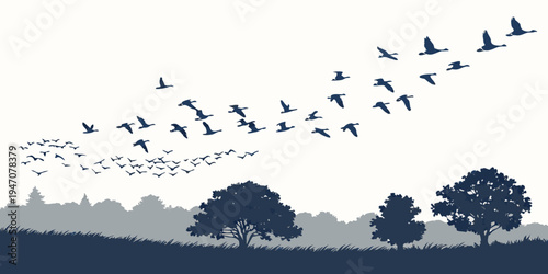A flock of birds flying in a v-formation over a tree-lined landscape.