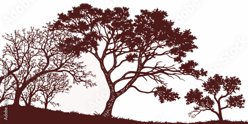 A beautiful tree with a thick trunk and intricate branches standing tall and proud.