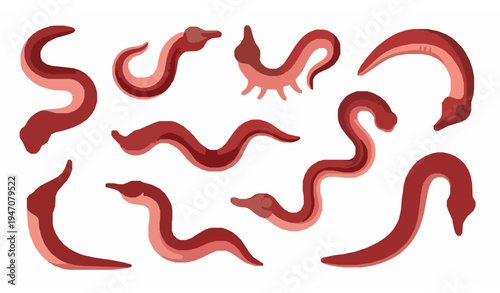Cute creepy cartoon leech worms set aquatic parasite creatures from rivers and lakes vector illustration