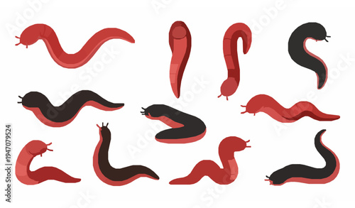 Cartoon leech worms vector set bloodsucking river parasite animals flat illustration collection isolated on white