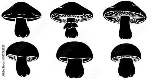 Set of six black mushrooms with white details in various views