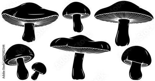 Set of realistic black mushrooms with detailed caps and stems