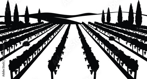 Vineyard farm rows silhouette landscape, grape plantation agriculture field perspective with hills and trees countryside wine farm vector illustration isolated design