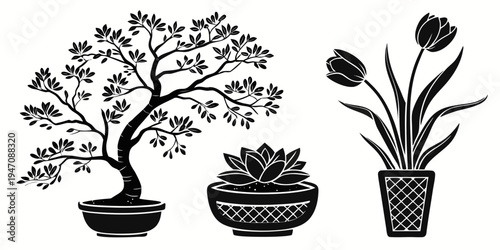 Three different potted plants including a bonsai tree and two flowering plants