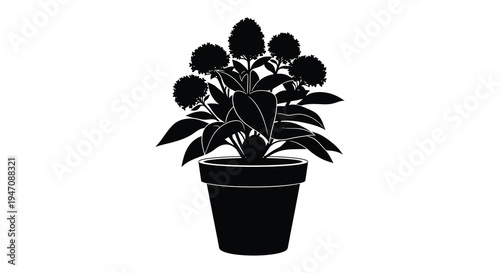 A detailed black silhouette of a potted plant with lush foliage and rounded flower heads silhouette high quality