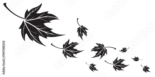 A collection of black and white leaves scattered across a white background