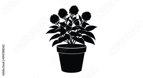 A simple black floral arrangement of sunflowers in a pot presented as a striking silhouette high quality professional