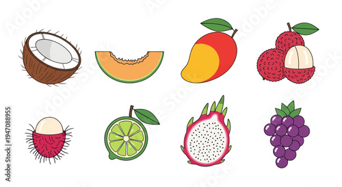 Colorful tropical fruits illustration