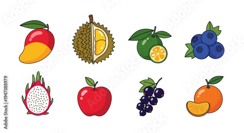 Colorful tropical fruits illustration