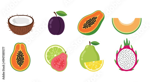 Colorful tropical fruits vector illustration