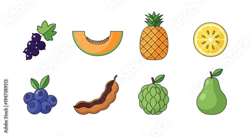 Colorful vector fruits collection isolated
