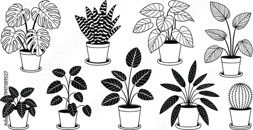 Collection of Potted Houseplants in Black and White Line Art Style Keywords: potted plants, houseplants, indoor plants, foliage