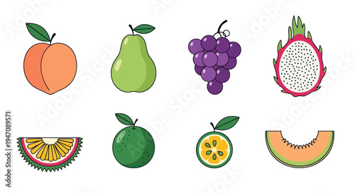 Colorful vector fruits collection isolated