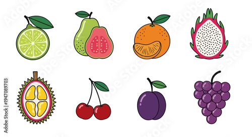 Colorful vector illustration of various fruits
