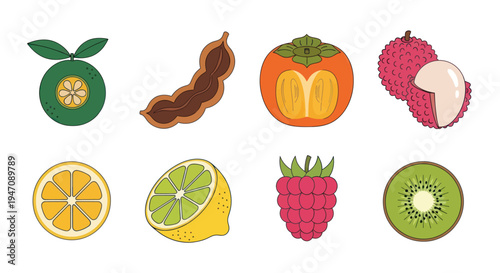 Colorful vector illustration of various fruits