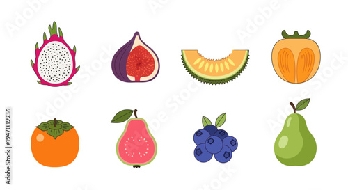 Colorful vector illustrations of various fruits