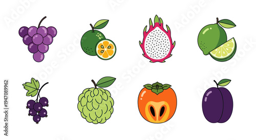 Colorful vector illustrations of various fruits