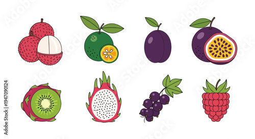 Colorful vector illustrations of various fruits