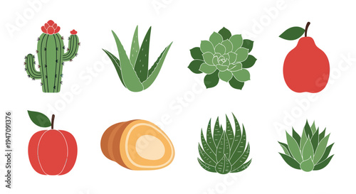 Diverse plant illustrations on white background