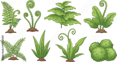 Green Fern and Forest Plants Collection with Tropical Leaves, Bushes and Botanical Garden Foliage Elements for Nature Landscape and Eco Design Vector Illustration
