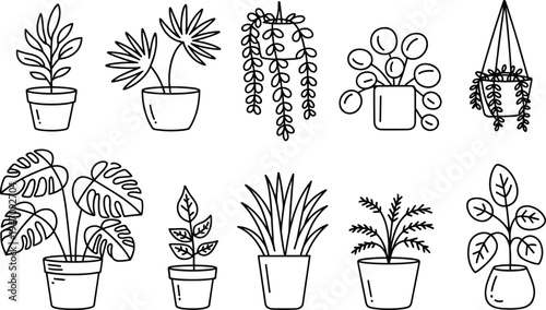 Line Art Illustrations of Various Potted and Hanging Indoor Plants Keywords: potted plants, houseplants, indoor plants