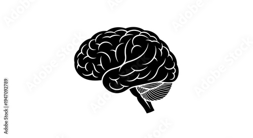 Human brain black and white icon illustration on white background