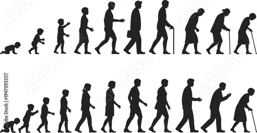 Human life cycle silhouettes showing baby child teenager adult and elderly stages of aging evolution concept isolated on white background people growth timeline