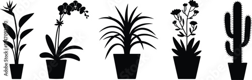 Silhouette Collection Of Five Potted Houseplants On White Background Keywords: potted plants, house plants, silhouette, plant