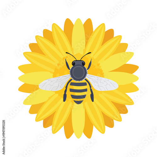 Bee hovering over a bright yellow flower illustration on white background
