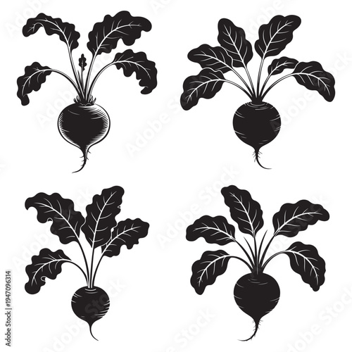 Four black beet illustrations with leafy greens shown in a striking silhouette