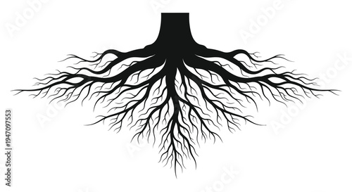 An intricate detailed illustration of tree roots spreading downwards presented as a striking black silhouette high quality professional