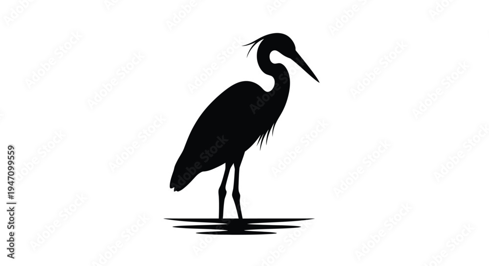 Fototapeta premium Elegant heron standing in water a striking black silhouette
