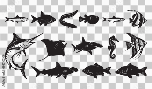 Fish Species Silhouett