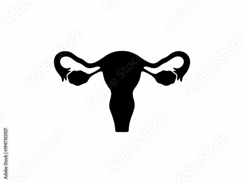 Human Female Reproductive System Uterus and Ovaries Black Silhouette Icon