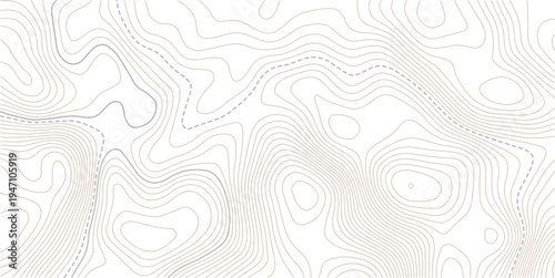 Beautiful Light topographic topo contour map background. Presentation background design.paper texture Imitation of a geographical map shades.