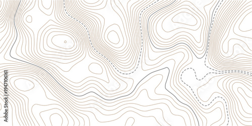 Beautiful Light topographic topo contour map background. Presentation background design.paper texture Imitation of a geographical map shades.