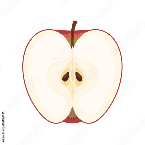 Half of a Fresh Red Apple