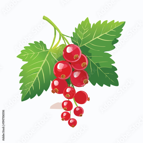 Vibrant red currants on branch with green leaves isolated on white background
